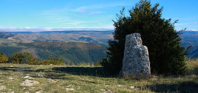 Commissariats de massifs et Communes forestières réunis pour valoriser le bois des massifs