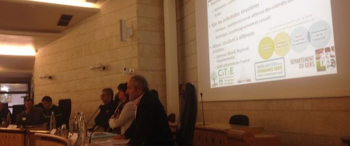 LE GERS S&rsquo;ENGAGE DANS LA FILIÈRE BOIS-ÉNERGIE
