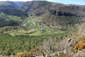 TREVES (30) : LA FORET MOBILISE DU BOIS POUR LE PASTORALISME