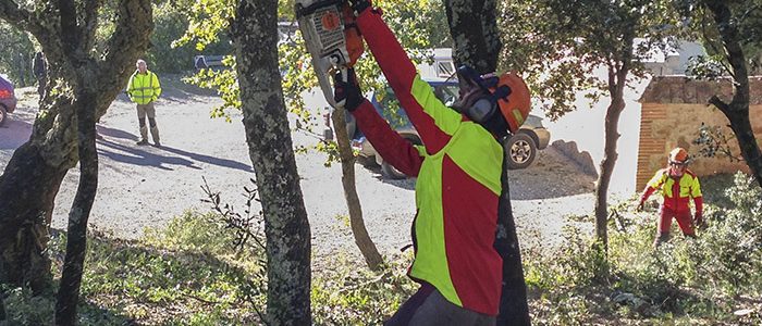 Prévenir les incendies : des formations OLD pour les élus d’Occitanie Prévenir les incendies : des formations OLD pour les élus d’Occitanie