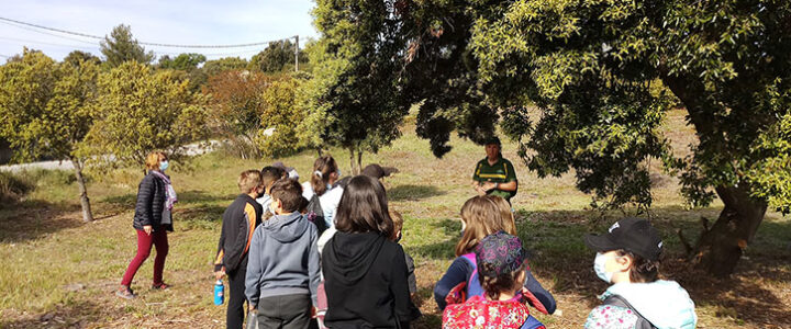 Journée mondiale de l’éducation : quand la forêt fait école