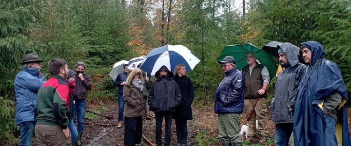 « De la forêt à nos projets », riche journée pour les maitres d’œuvre