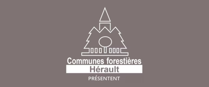 Nouveau : un MOOC sur les Obligations Légales de Débroussaillement !