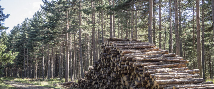 L’observatoire bois énergie au service des chiffres clefs de l’énergie