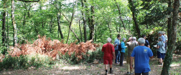 Dialogue forêt-société, au cœur des missions des Communes forestières