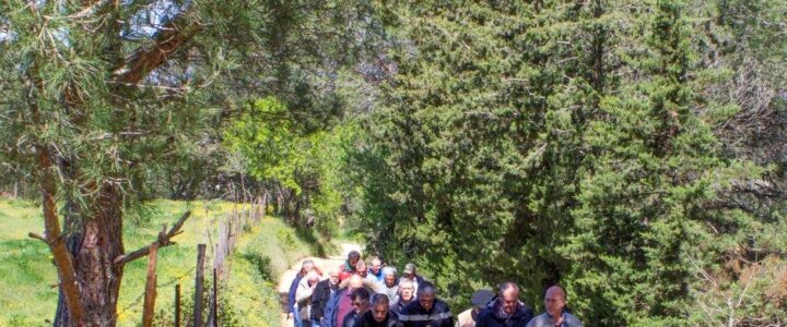 INCENDIES : Les COFOR se réunissent avec les SDIS et les services de l’Etat !