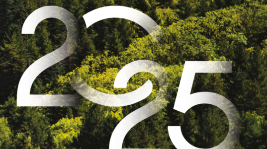 2025 Anticiper, planifier et adapter 2025 Anticiper, planifier et adapter