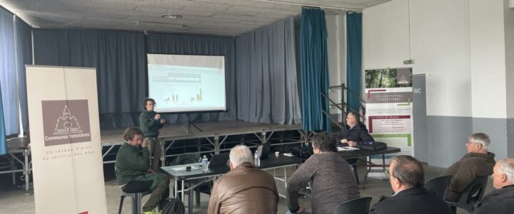 La vente du chêne, un enjeu pour les communes de l’Adour La vente du chêne, un enjeu pour les communes de l’Adour