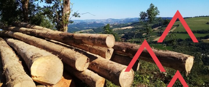 Ventes de bois : élus, préparez la facture électronique 2026 ! Ventes de bois : élus, préparez la facture électronique 2026 !