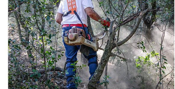 Printemps : les COFOR lancent les 4 saisons de l’incendie Printemps : les COFOR lancent les 4 saisons de l’incendie