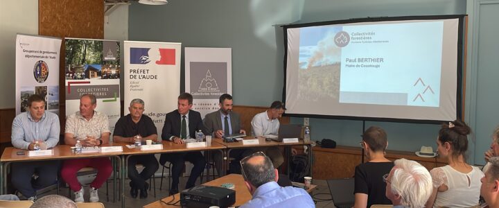 RETEX feux de forêts : Les élus et les partenaires d’Occitanie échangent RETEX feux de forêts : Les élus et les partenaires d’Occitanie échangent
