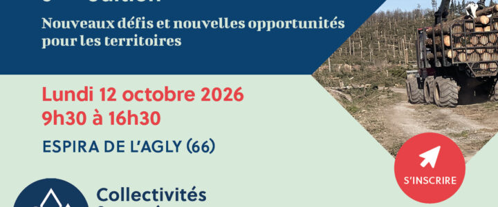 Journée régionale du bois-énergie – Nouveaux défis pour les territoires