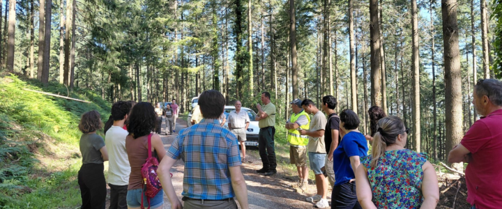 Quand la forêt devient un projet politique local