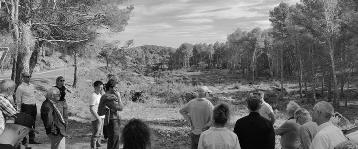 A Espira, la filière bois-énergie en quête de nouveaux défis